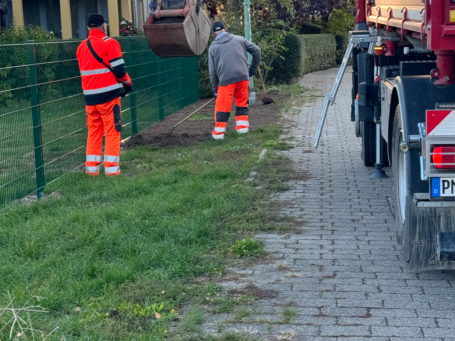 Erde geliefert