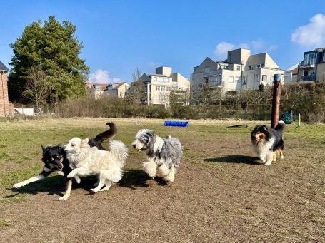 Endlich Frühling