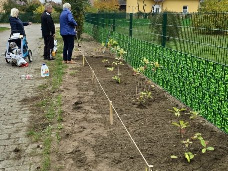 Gepflanzt und gesteckt