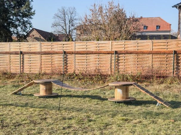 Das Jahr 2025